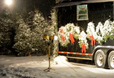 Our Christmas Trees and Wreaths in the snow.